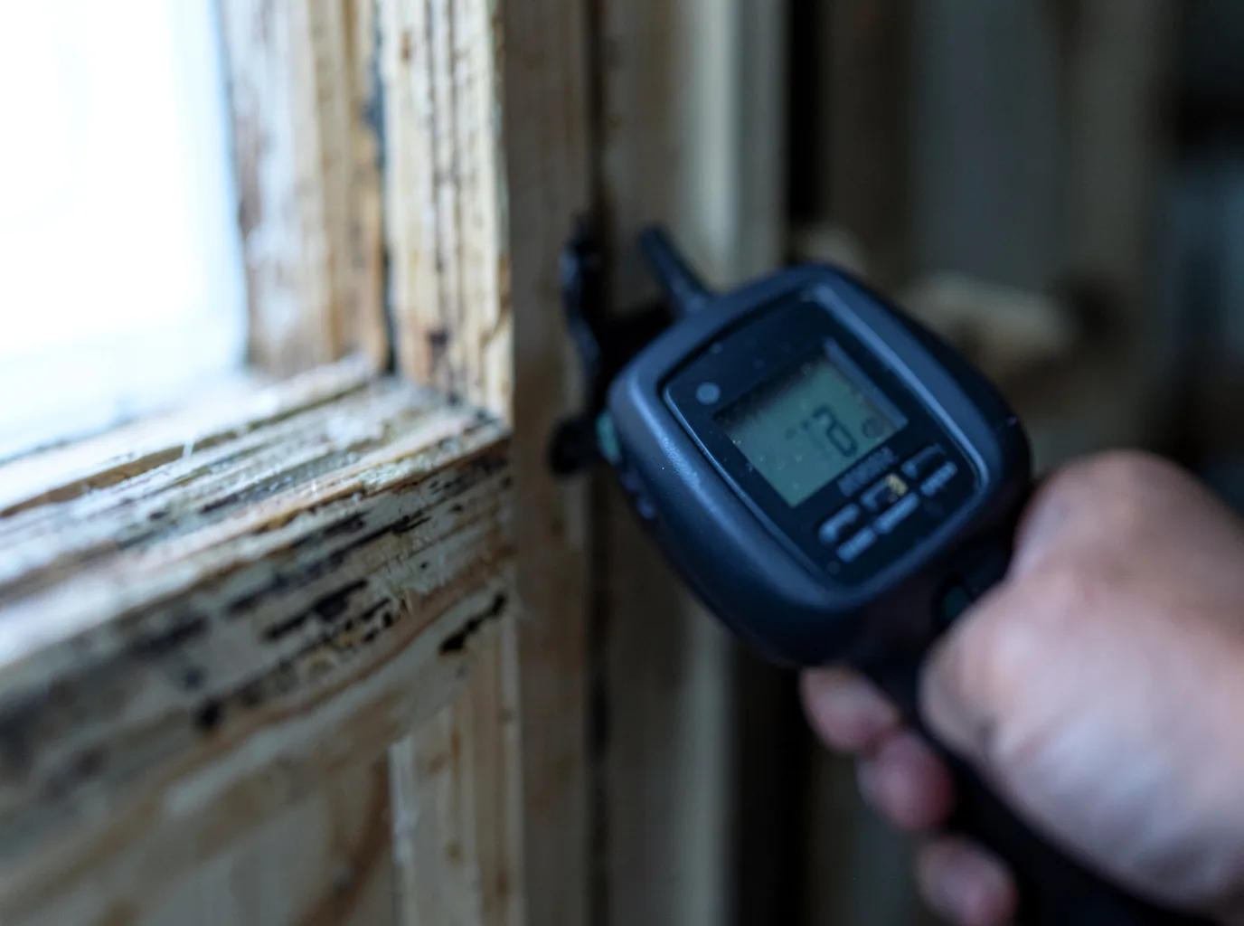 Moisture Inspection And Documentation in Ridgeway, WI